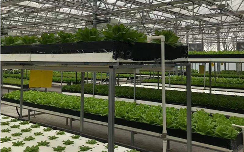 必发888(唯一)官方网站